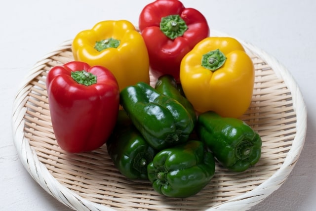 パプリカ栽培での悩みについて②　パプリカの夏秋栽培と病害虫防除